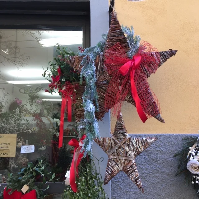 The window of a flower shop, Lucca, December 2016.