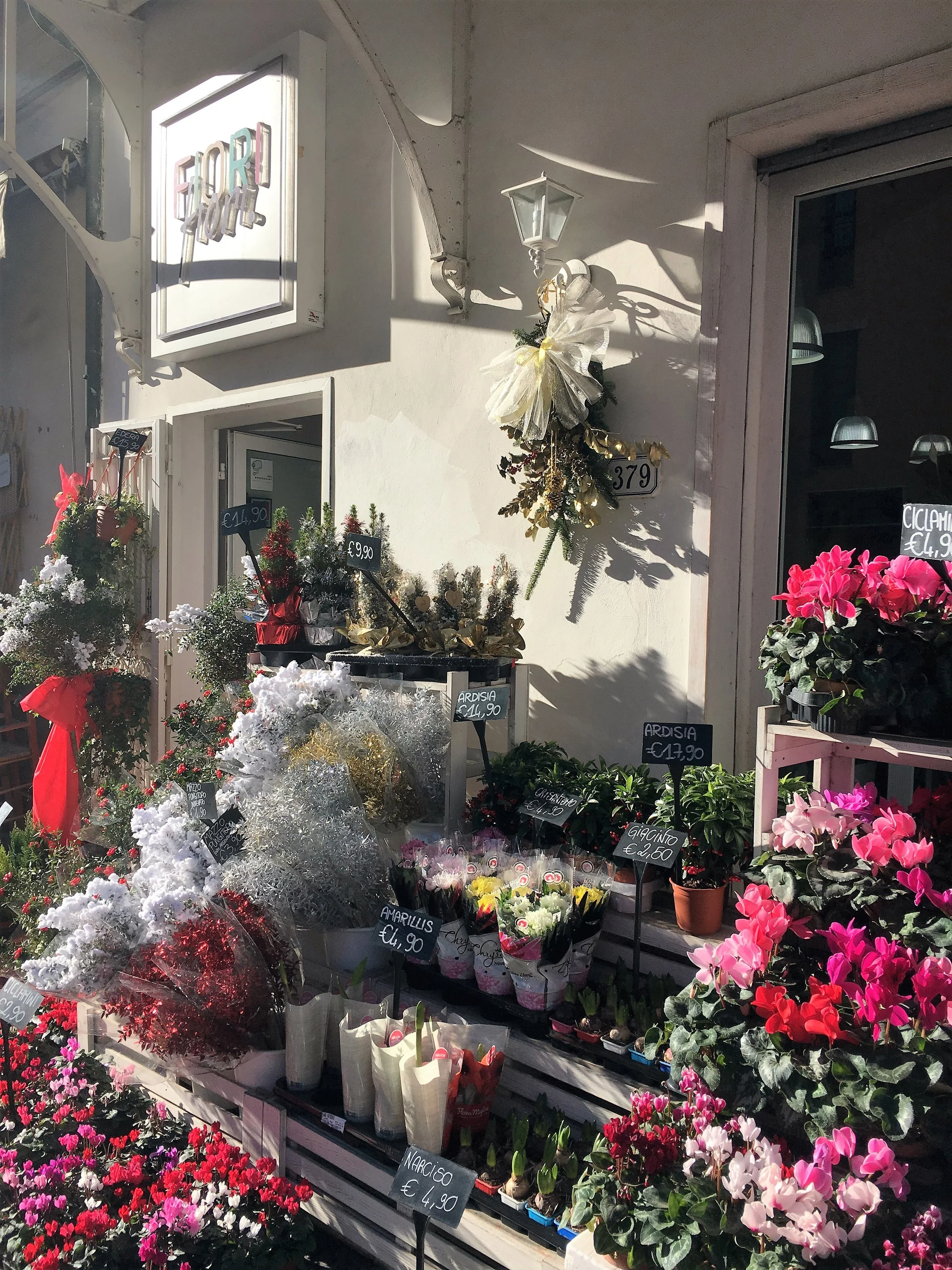 Flowers brighten a winter day in Borgo Giannotti just outside the walls of Lucca, January 2017.