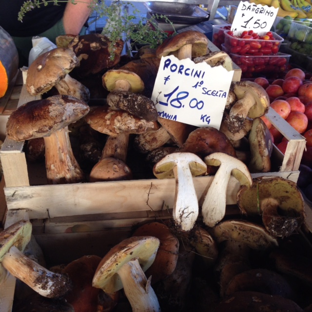 Fresh porcini at the Sant'Ambrogio market.