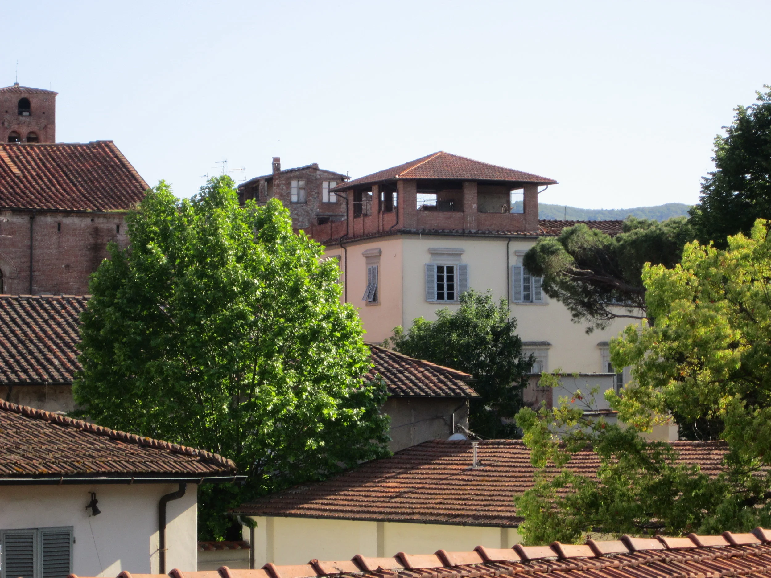 The rooftops of Lucca in spring, 2016.