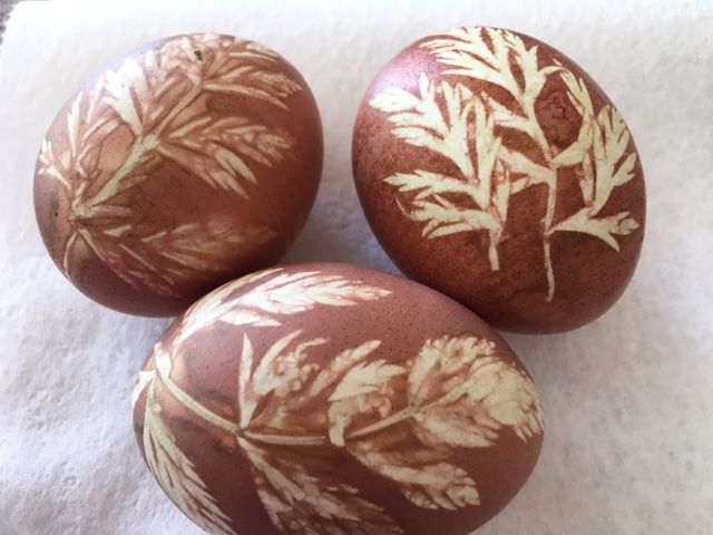 beautiful dyed eggs