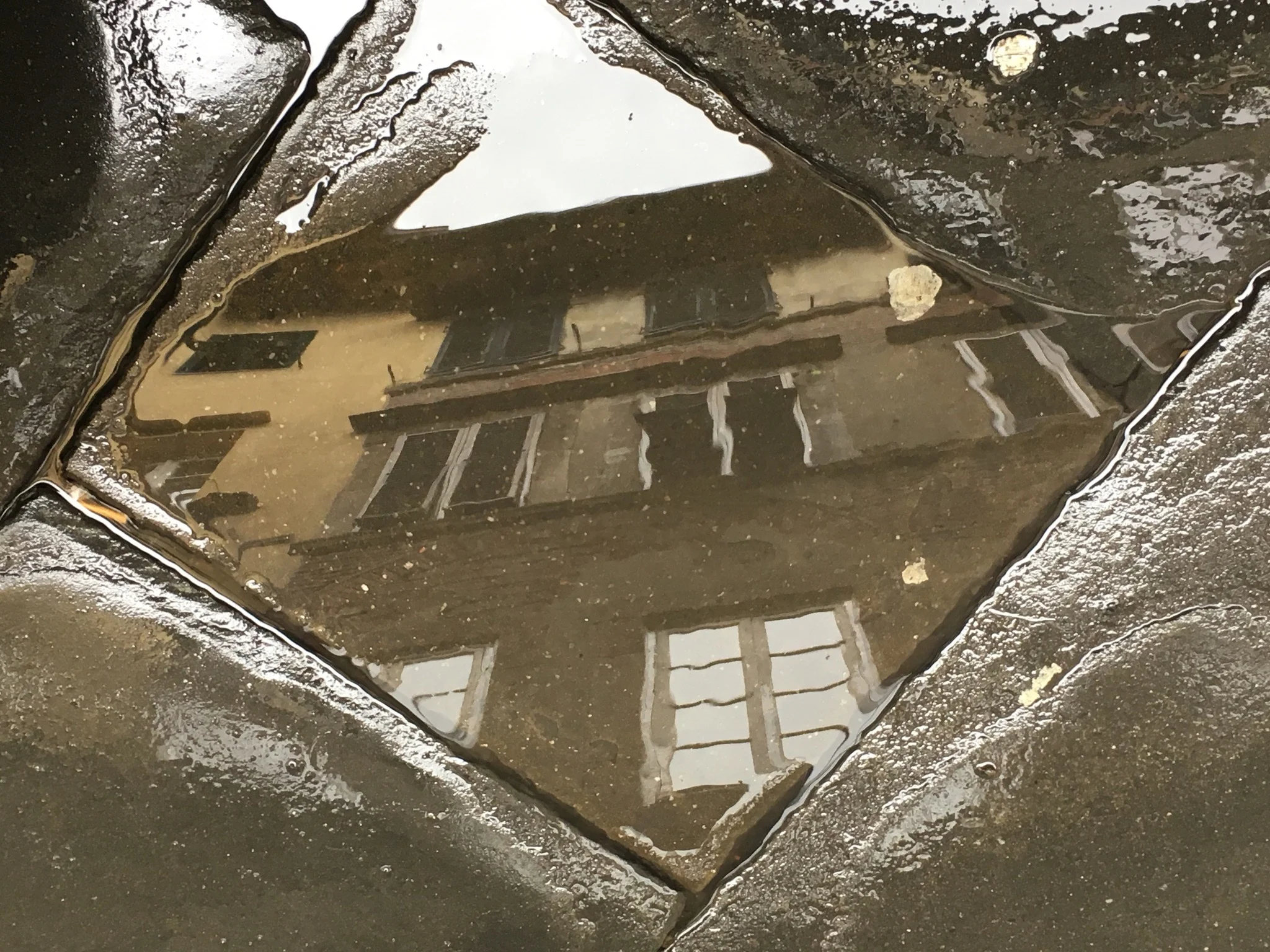 The city reflected in a wet street. 