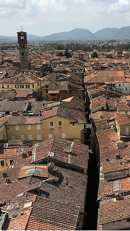 A view over Lucca from Torre Guinigi