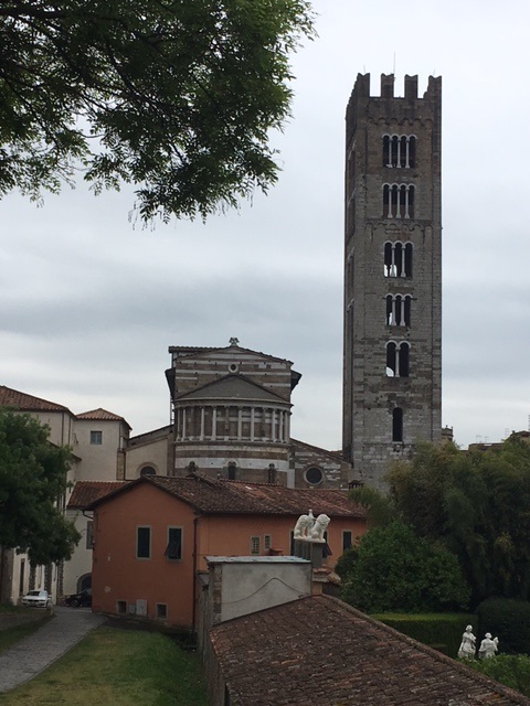 The view from one of my favorite places to walk - on the wall in Lucca, Italy.