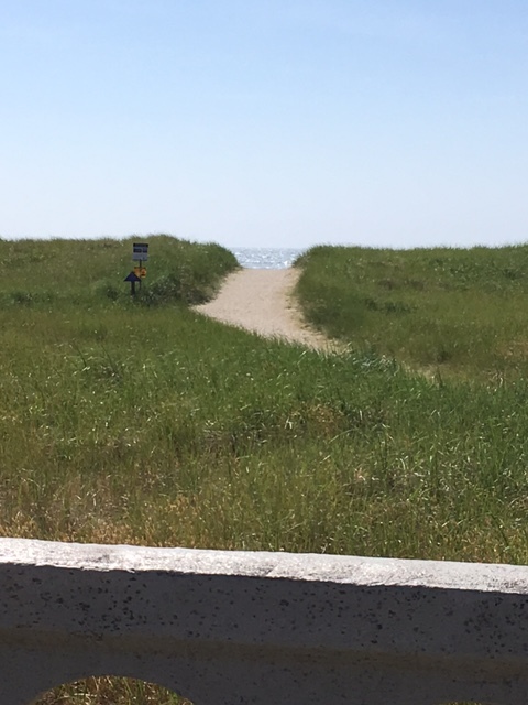 Trail to the beach through the dunes