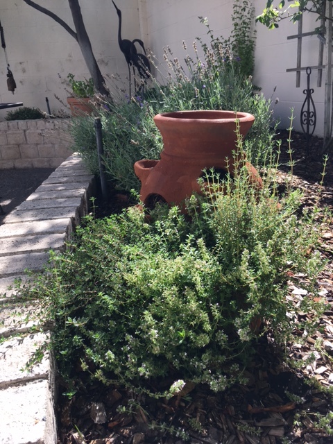 My small herb garden