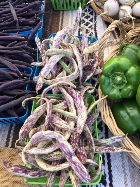 variegated purple beans