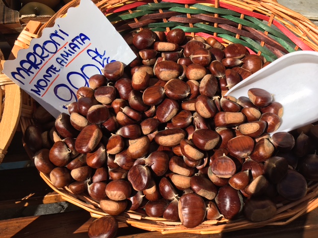 chestnuts.JPG