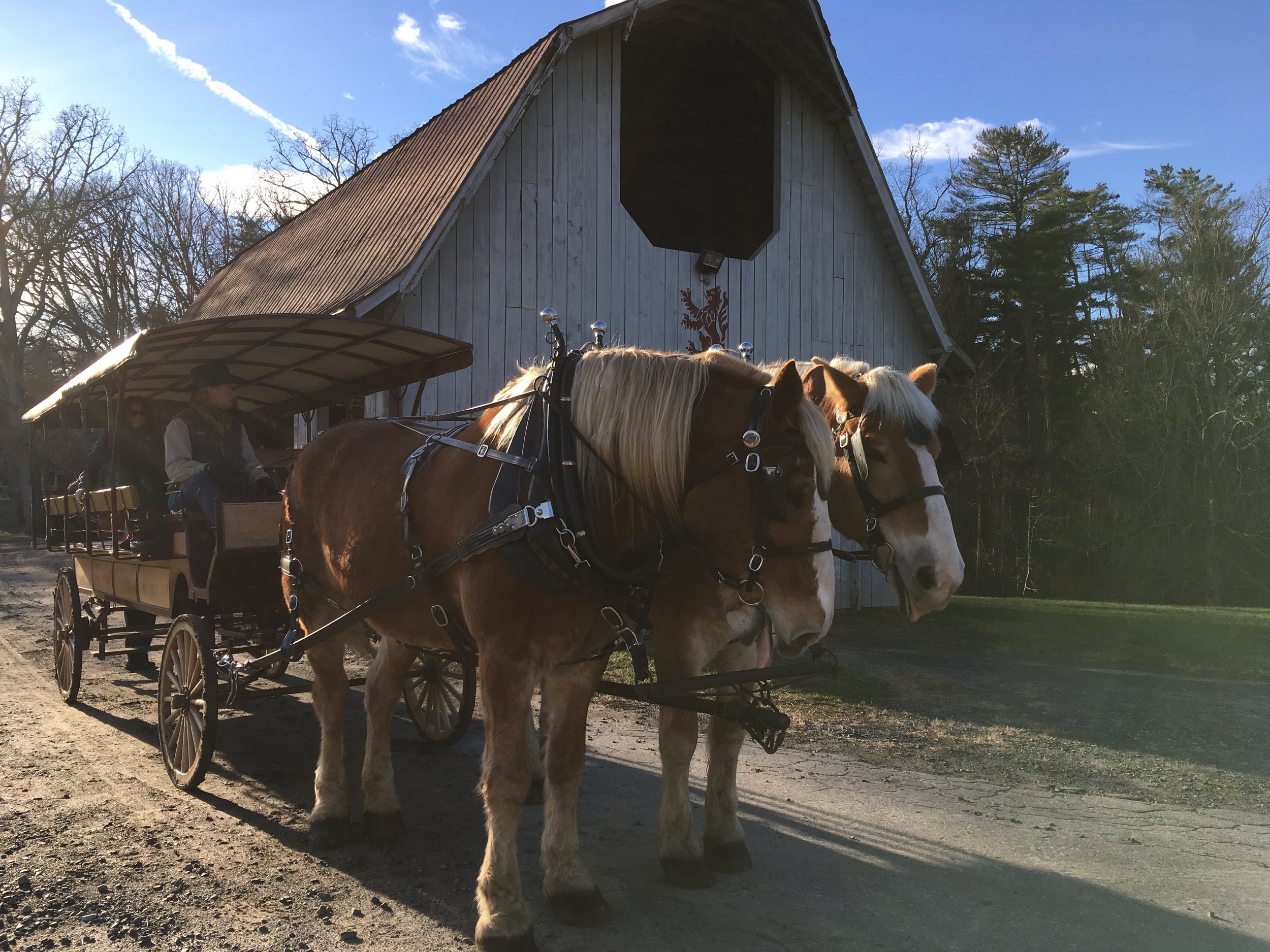 See the estate by horse drawn carriage