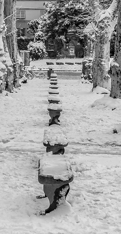 The big snow of 2018 created a magical winter tableau. We’re still waiting for snow this year. Photo by David Priest, used with permission.