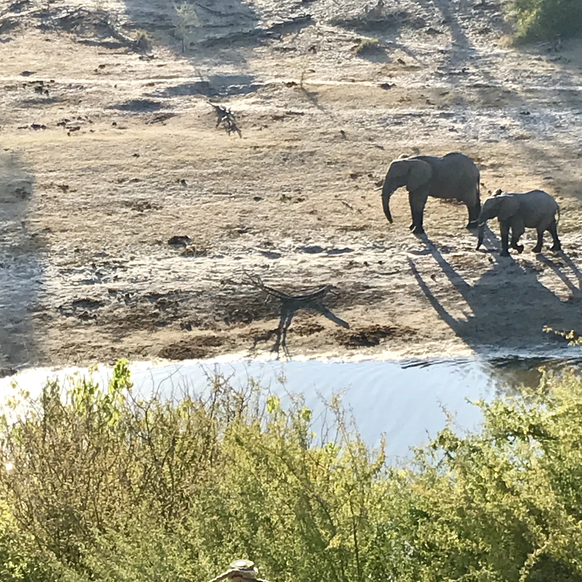 The view from the porch of our tent at Meno a Kwena