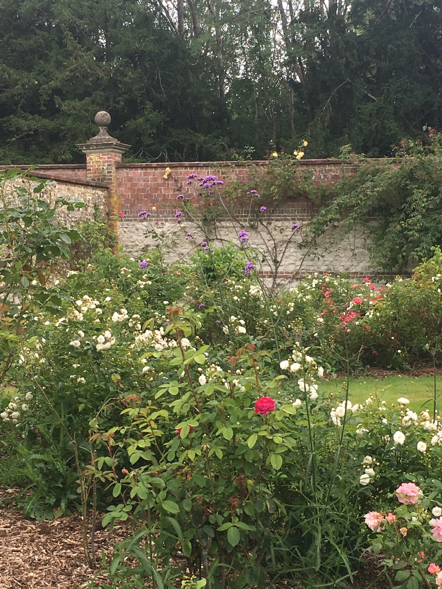The walled garden at Chawton House