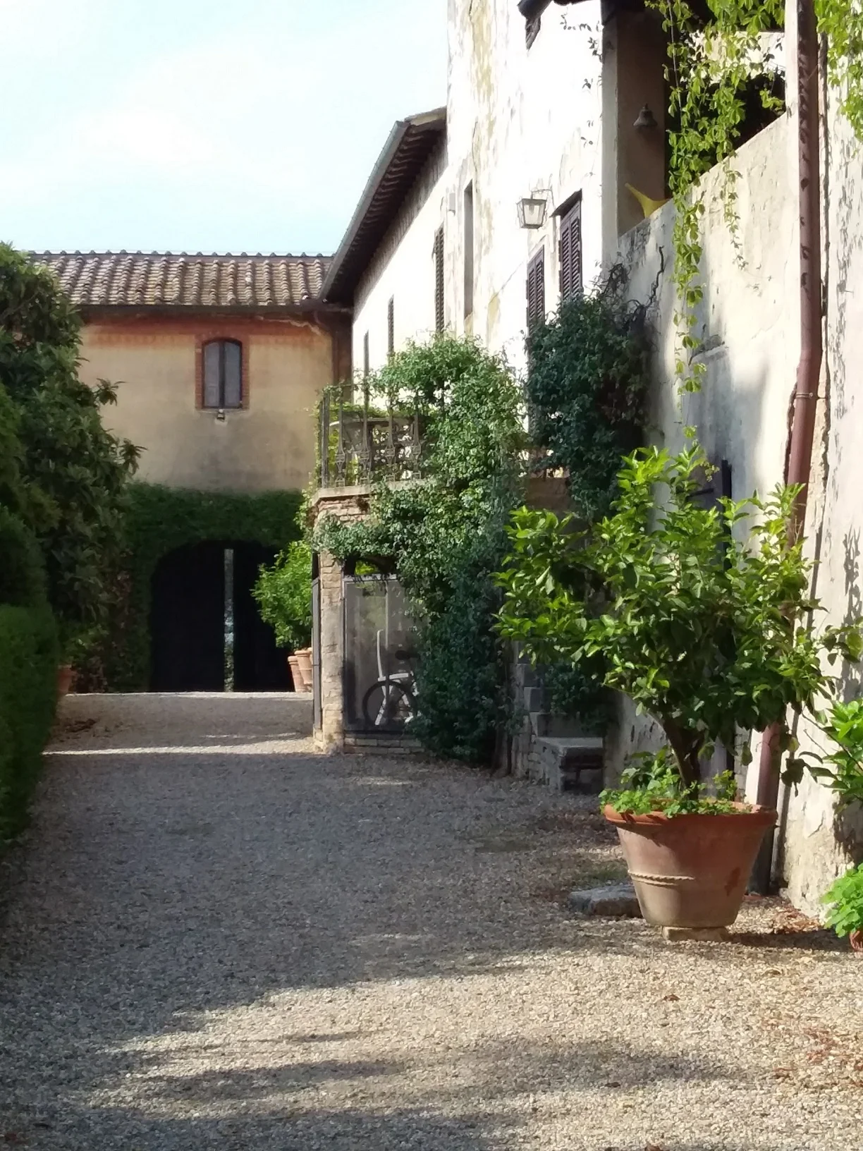 Fattoria and Agriturismo Lornano