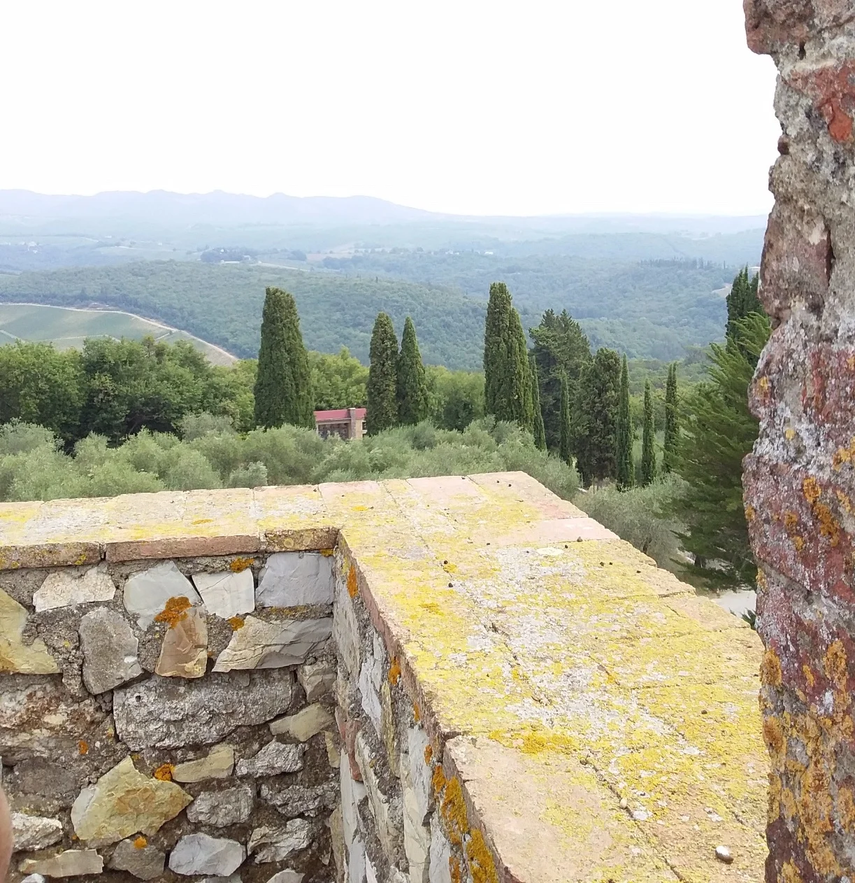 View from the terrace at Canonica a Cerreto