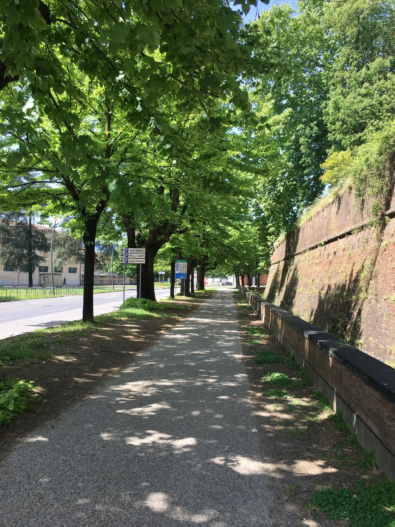 image3 - Copy (2).jpeg