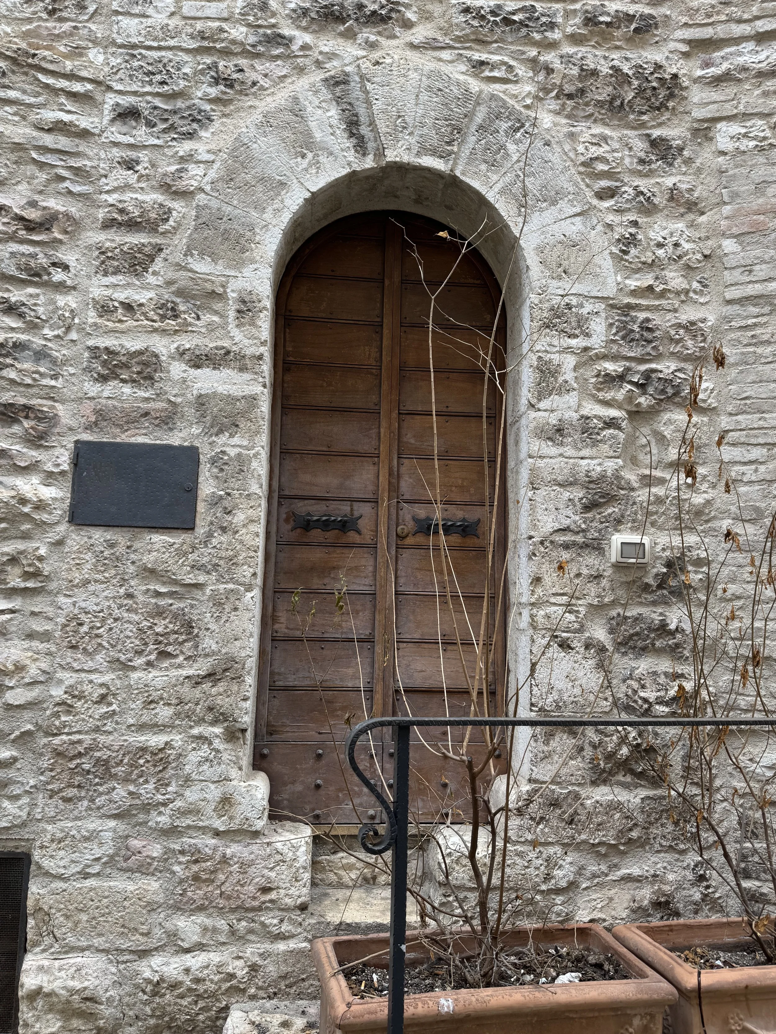 IMG_3595.jpeg