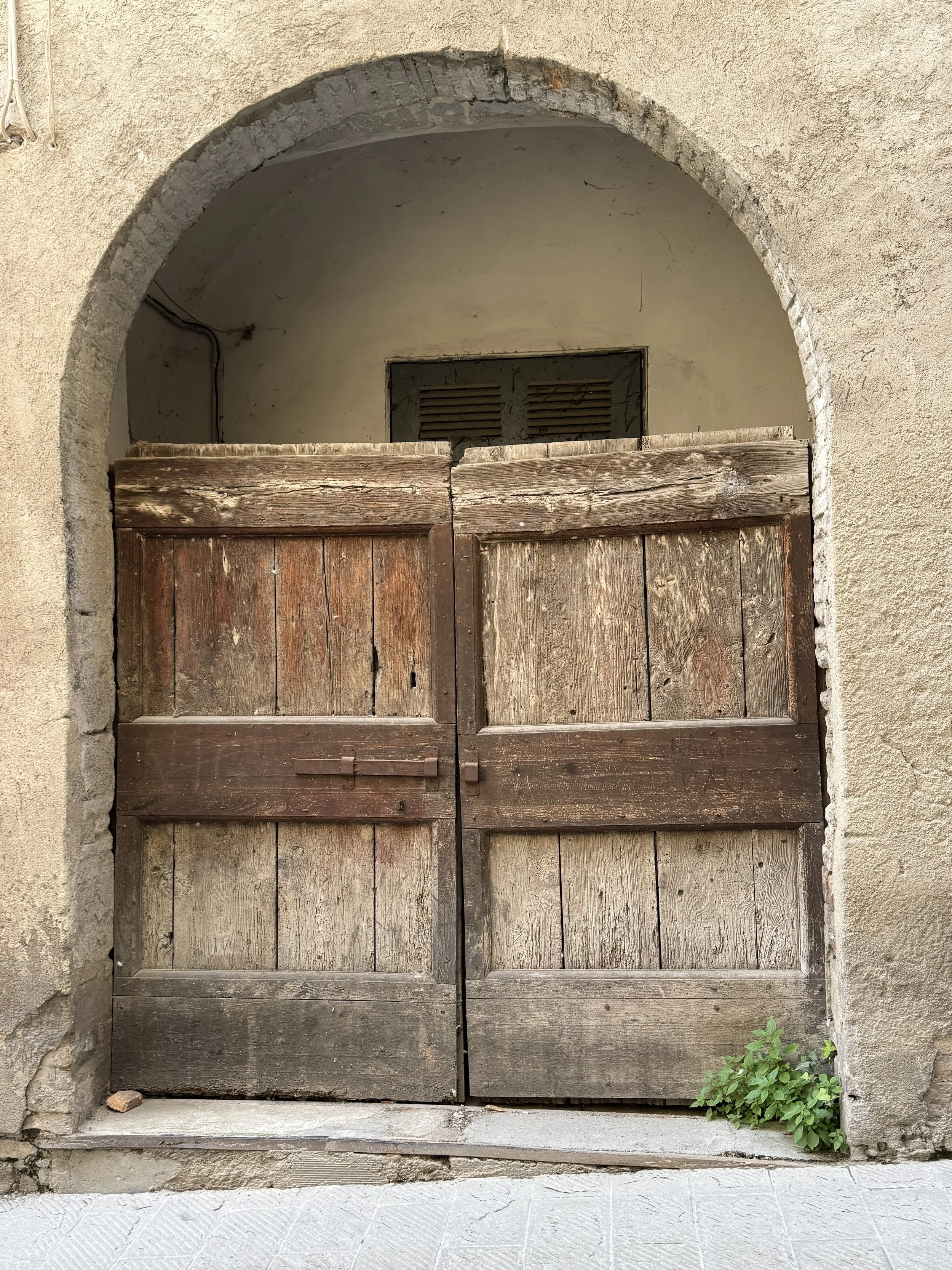 IMG_4651.jpeg