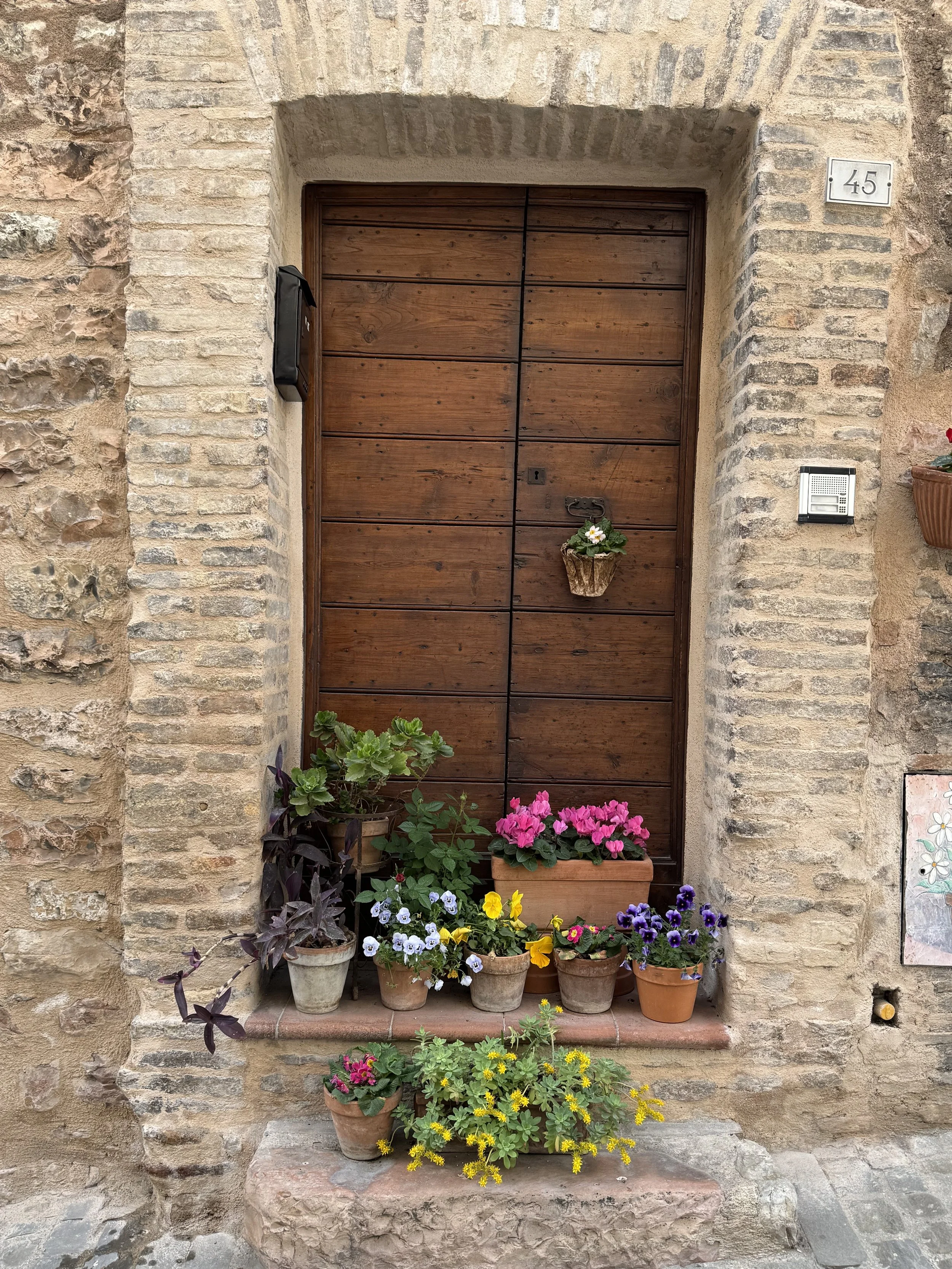 IMG_4001.jpeg