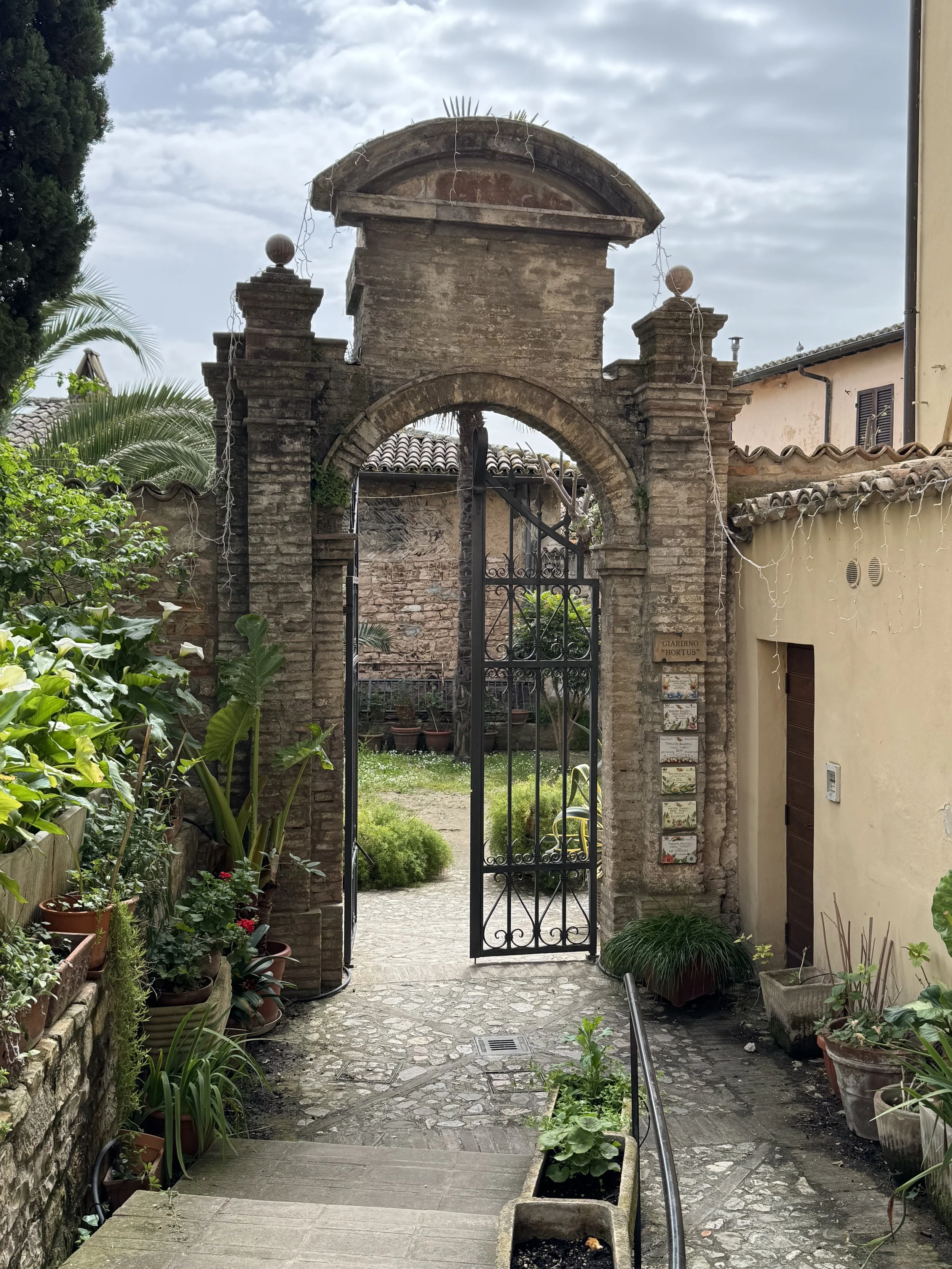 IMG_4073.jpeg