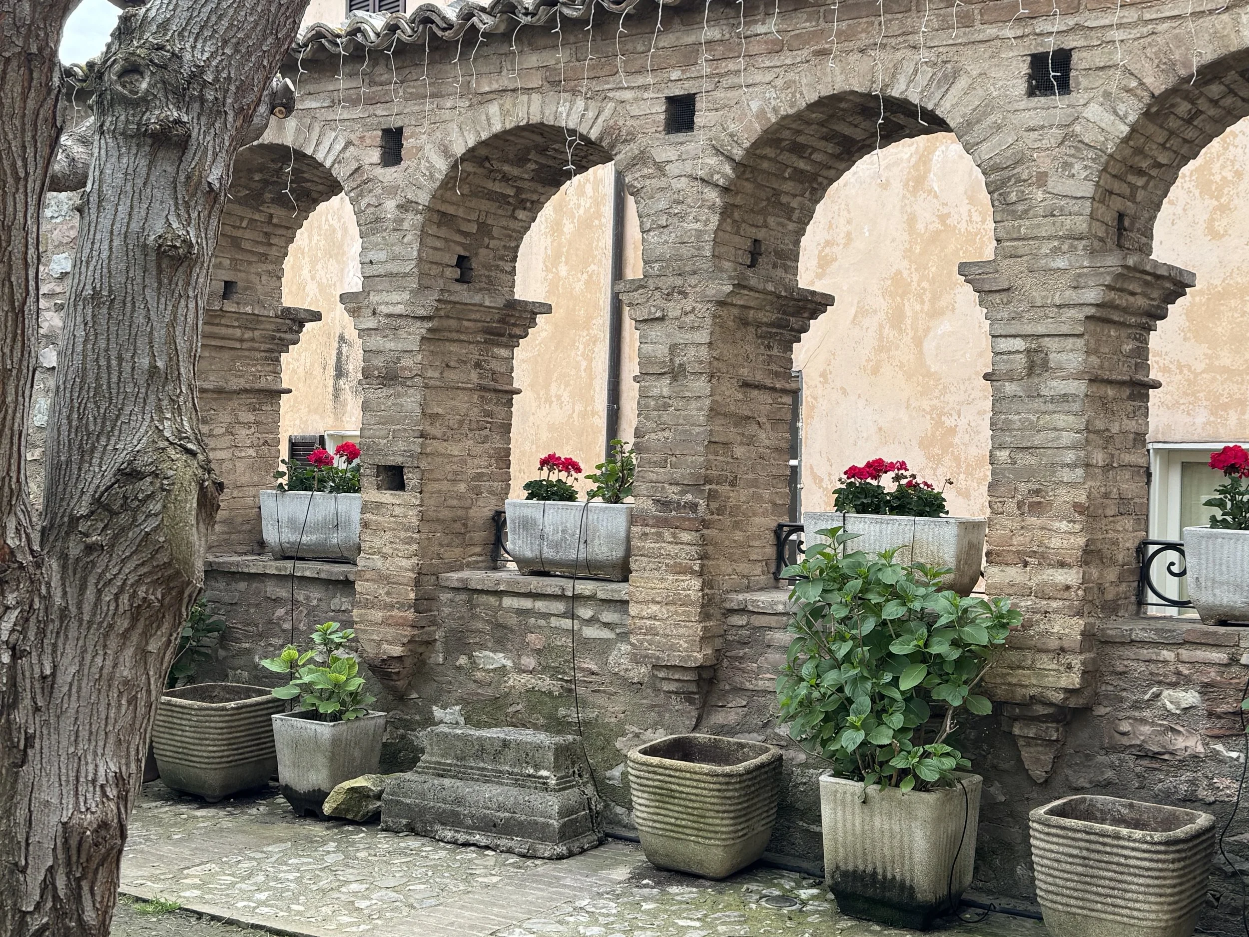IMG_4061.jpeg