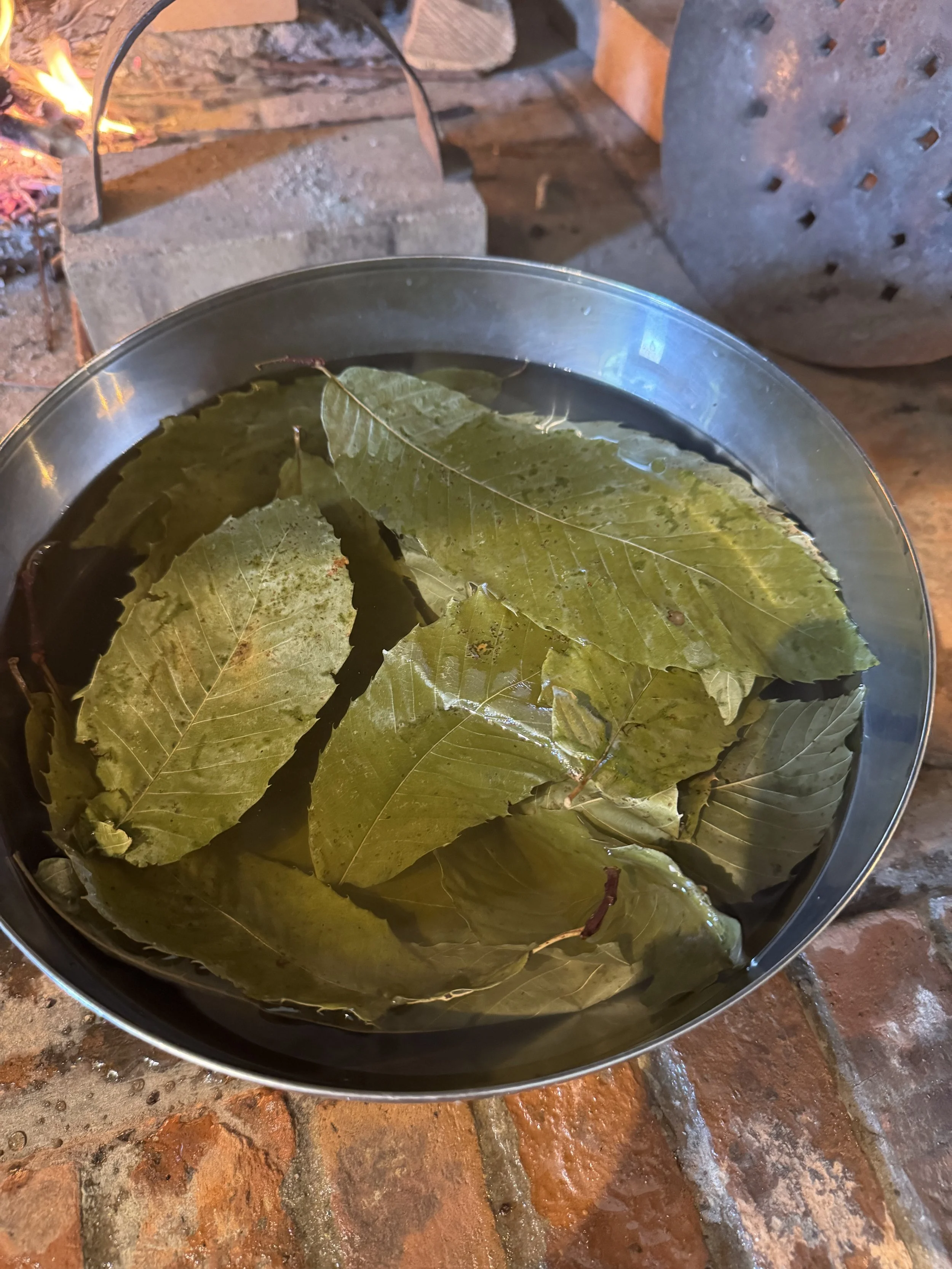 IMG_6019 2.jpeg