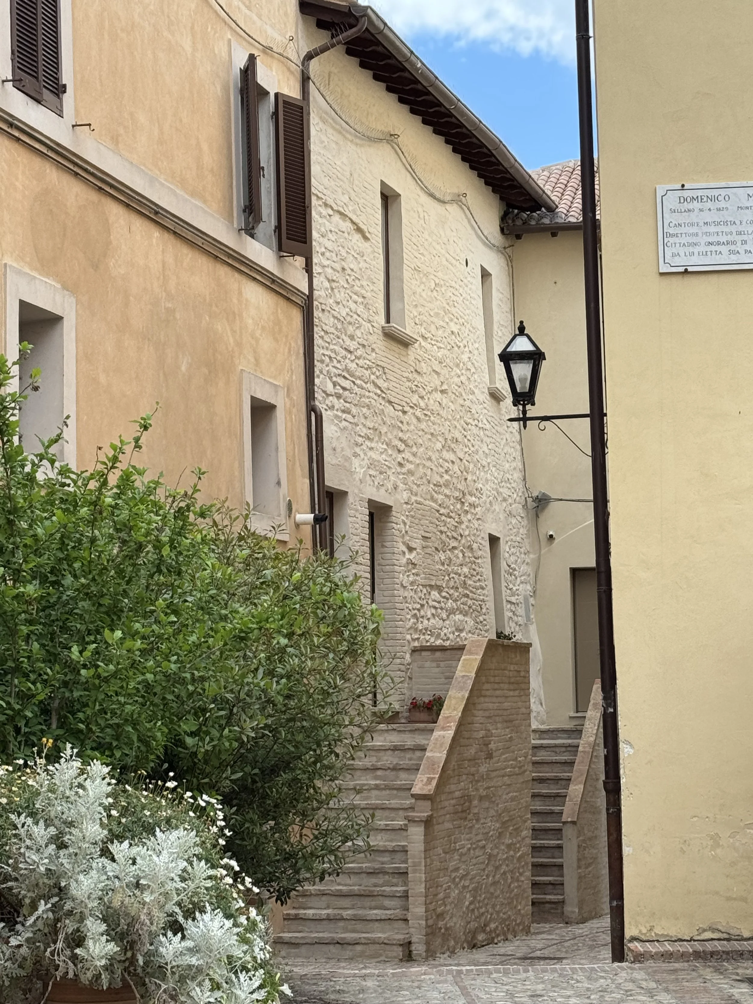 IMG_0759.jpeg