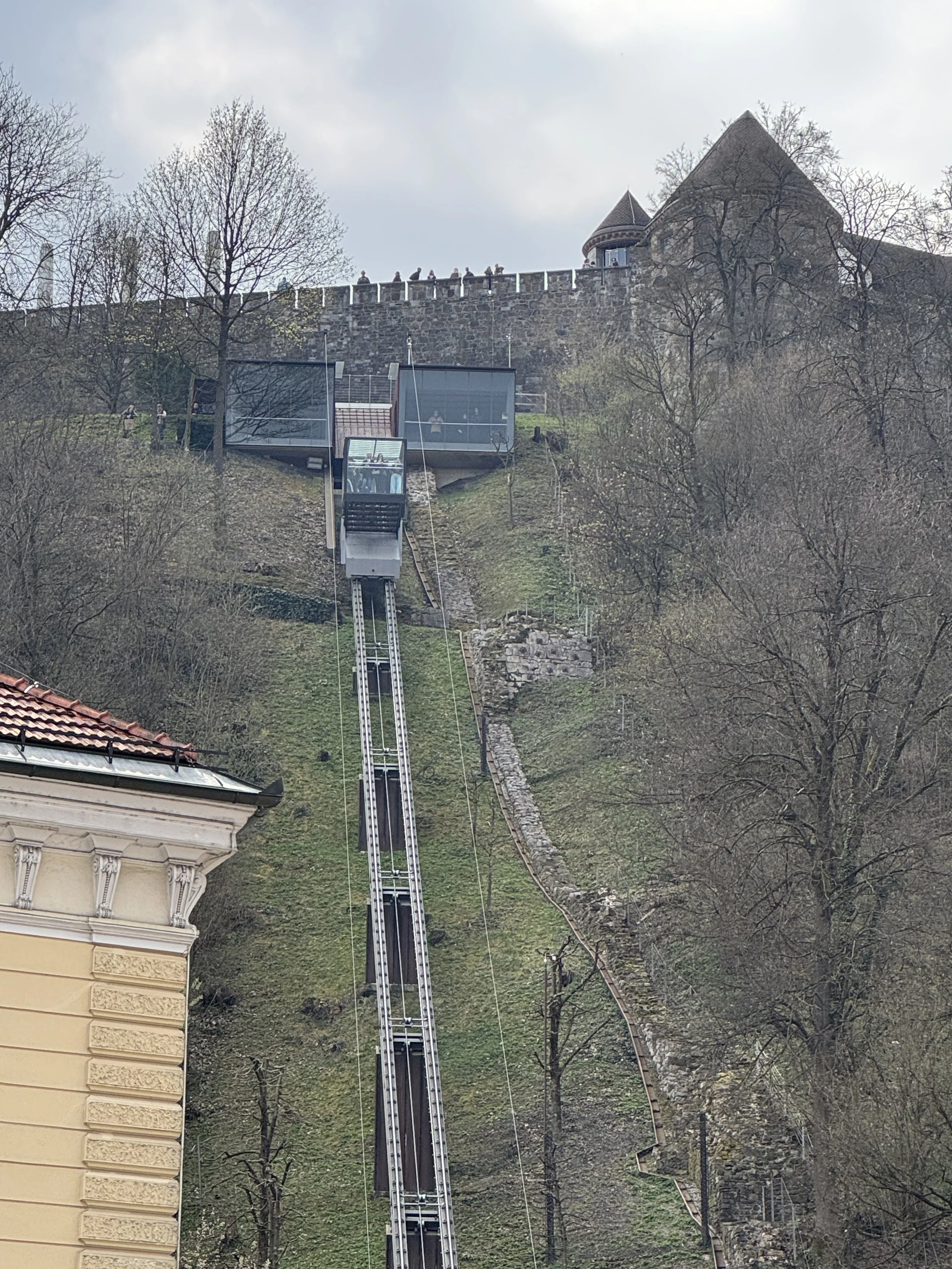 IMG_9870.jpeg