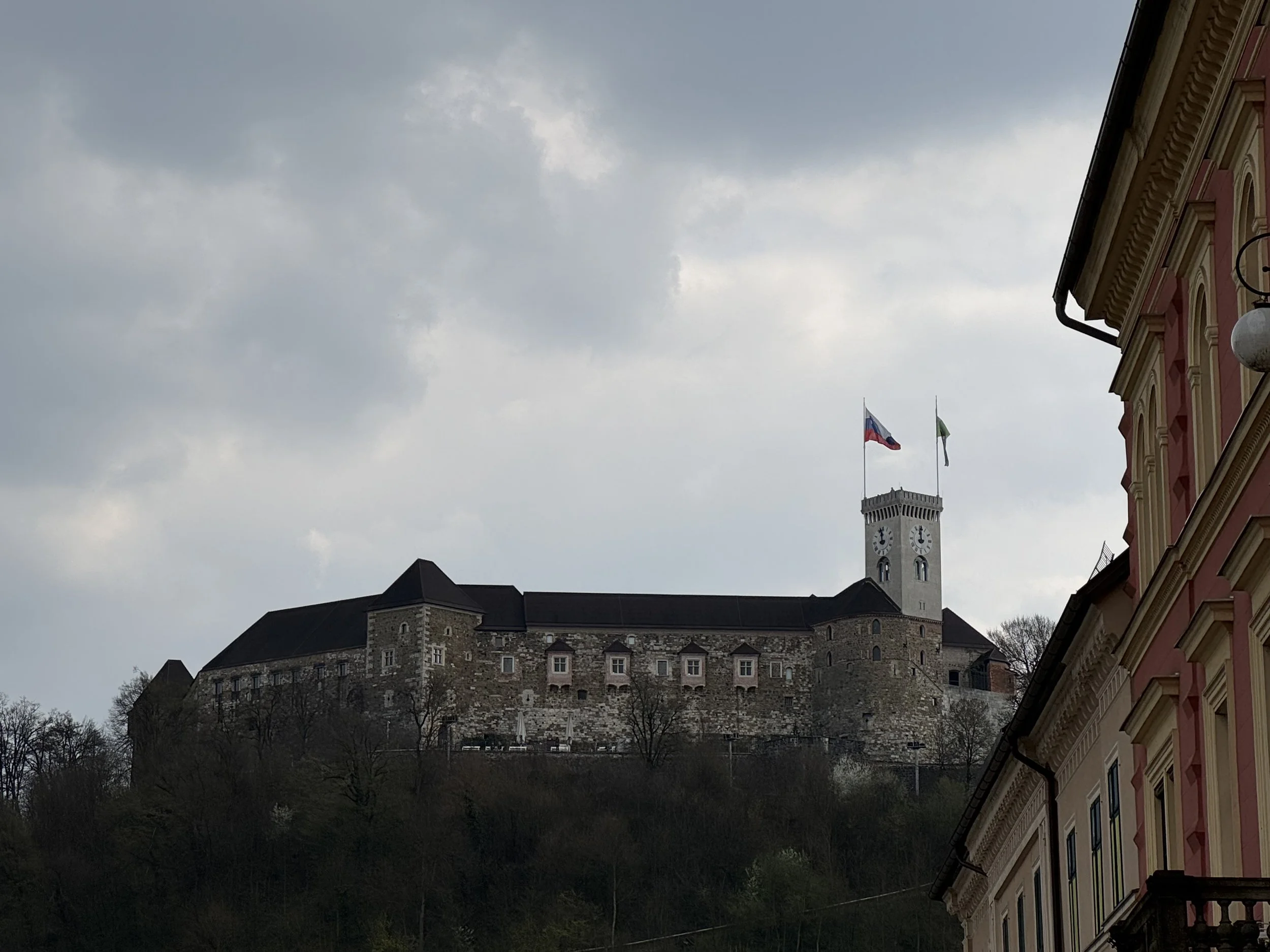 IMG_9767.jpeg