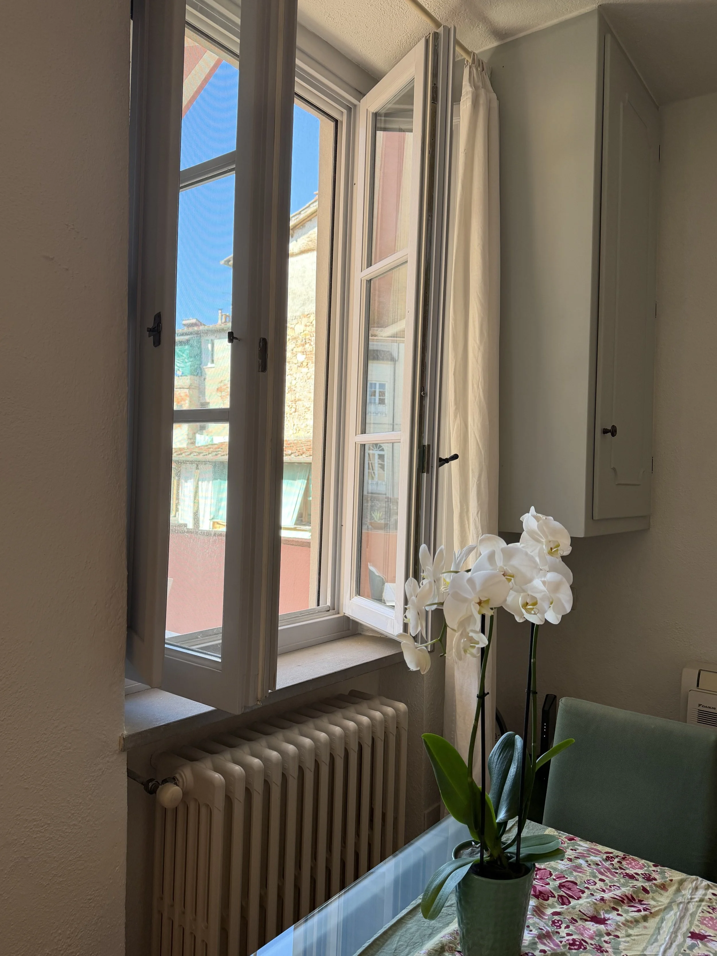 IMG_0407.jpeg