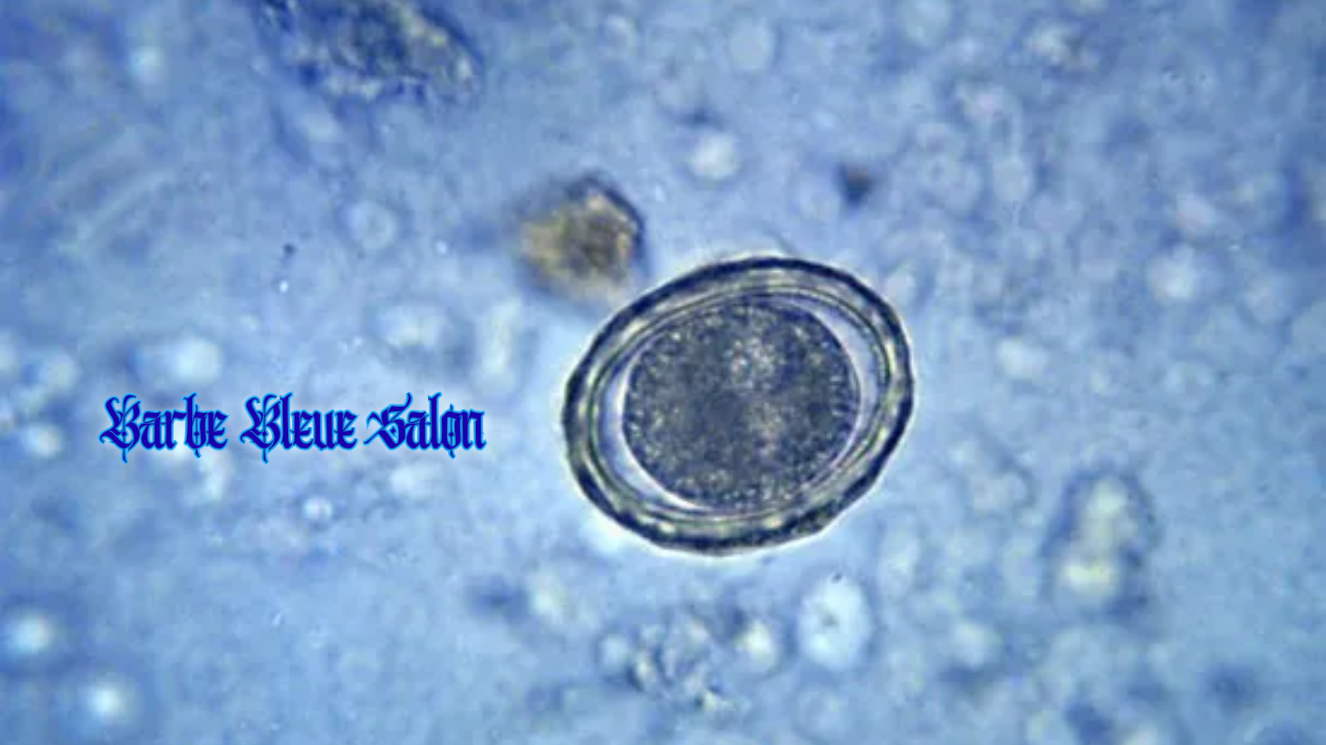 Copy of Le Barbe Bleu Salon (1).png