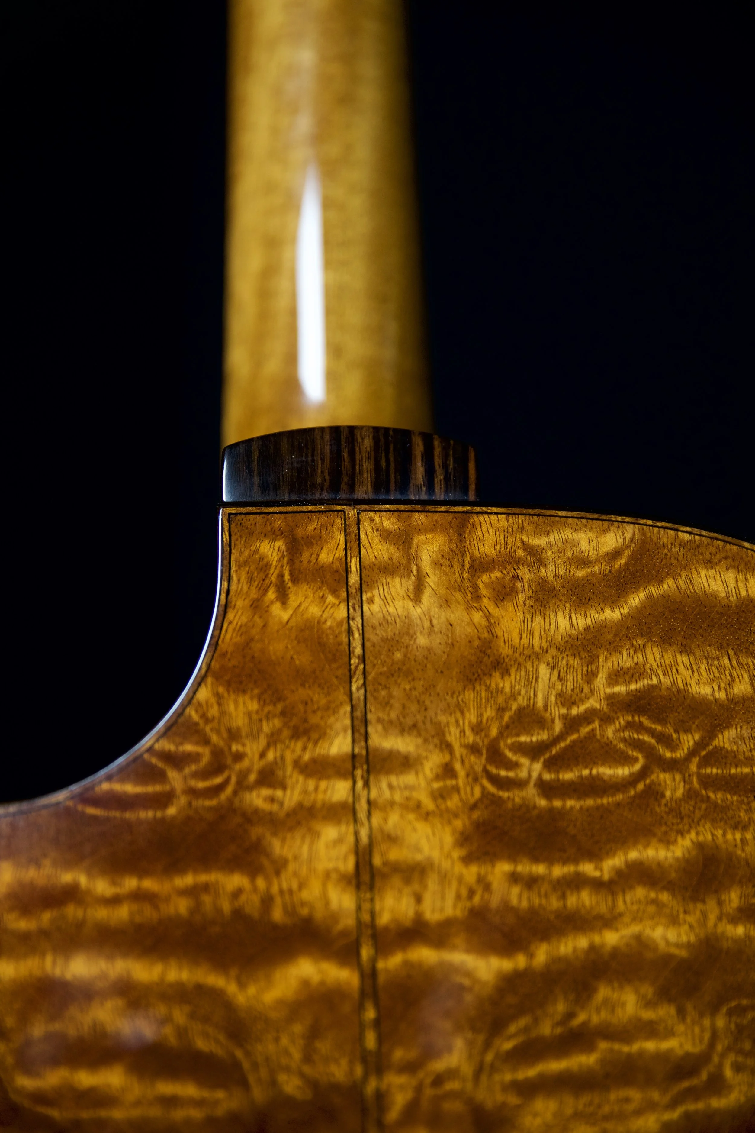 "Tree" Mahogany Back with Central Back Purfling