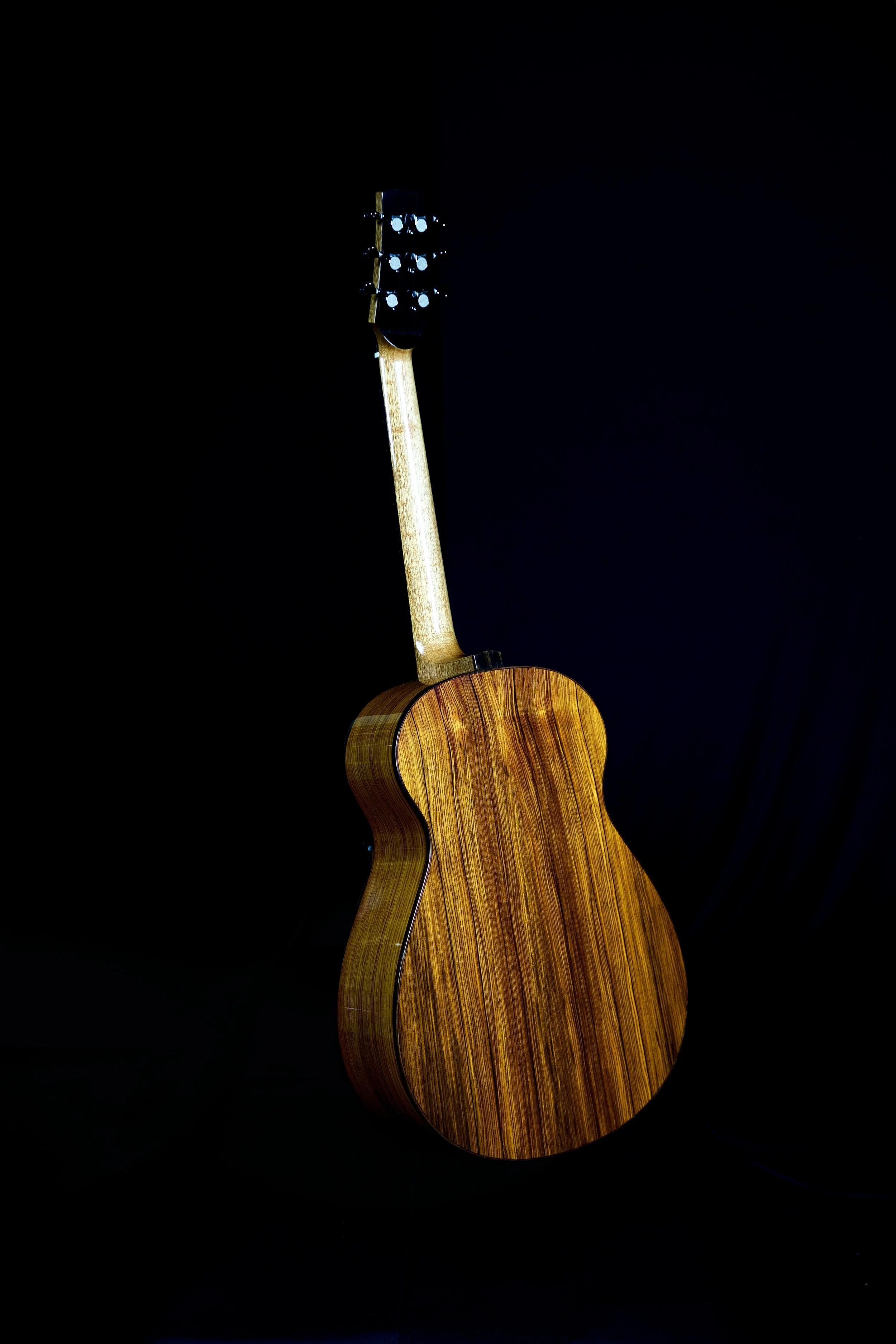 Cocobolo Back and Sides with Macassar Ebony Binding on Jumbo