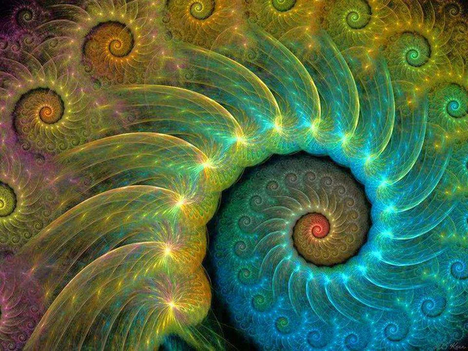 941391_318367861627489_1053125956_n.jpg