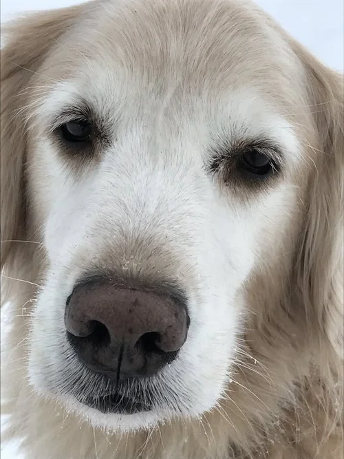 Social Media & Customer Service Experts