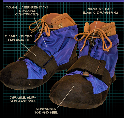 Shoes w grid & labels edited.png