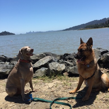 Shelby and Sophie