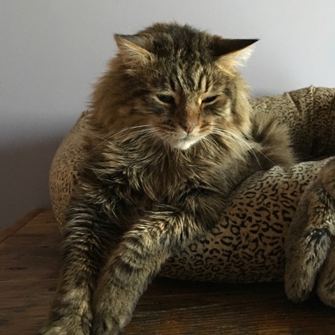 Spanky