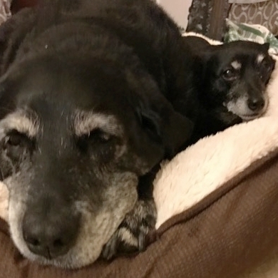 Lulu and Nick