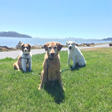 Barney, Kahlua, Clementine