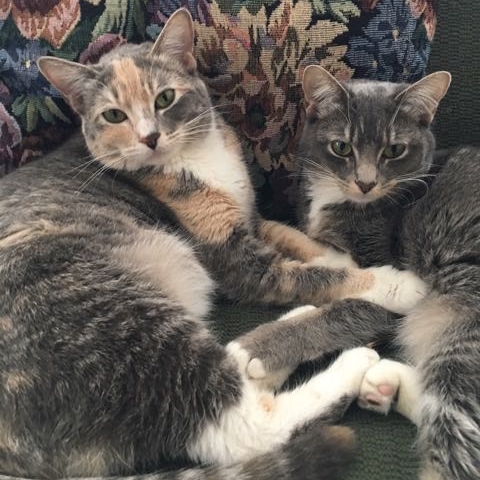 Lizzi and Pearl
