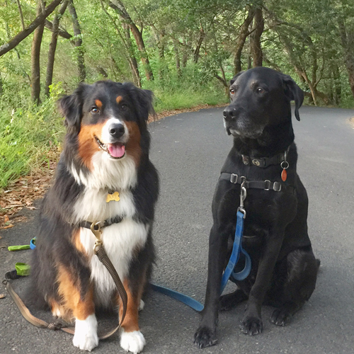 Hugo and Jake