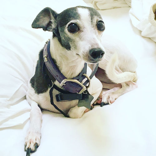 Bianca