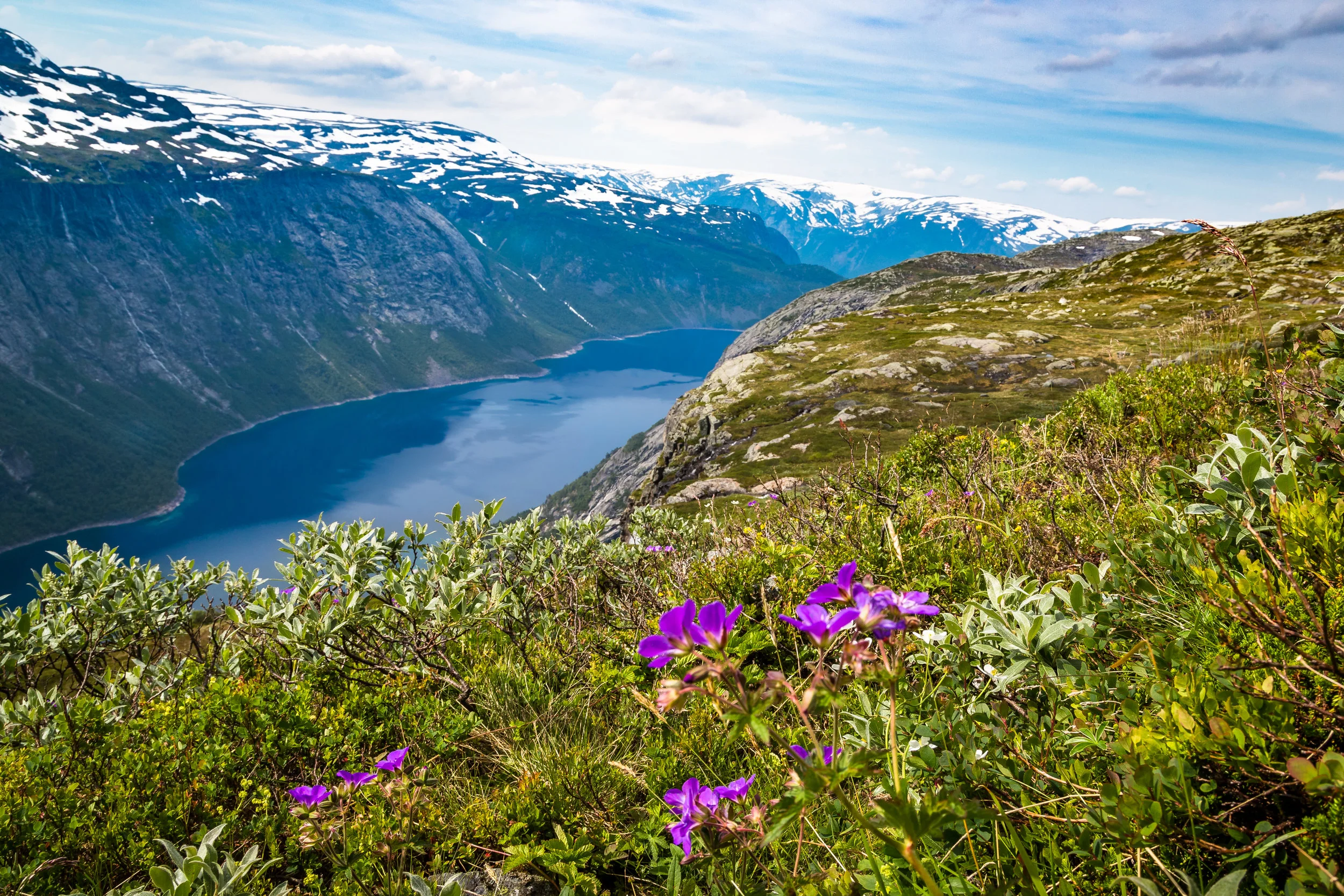 Beauty in Barren Places