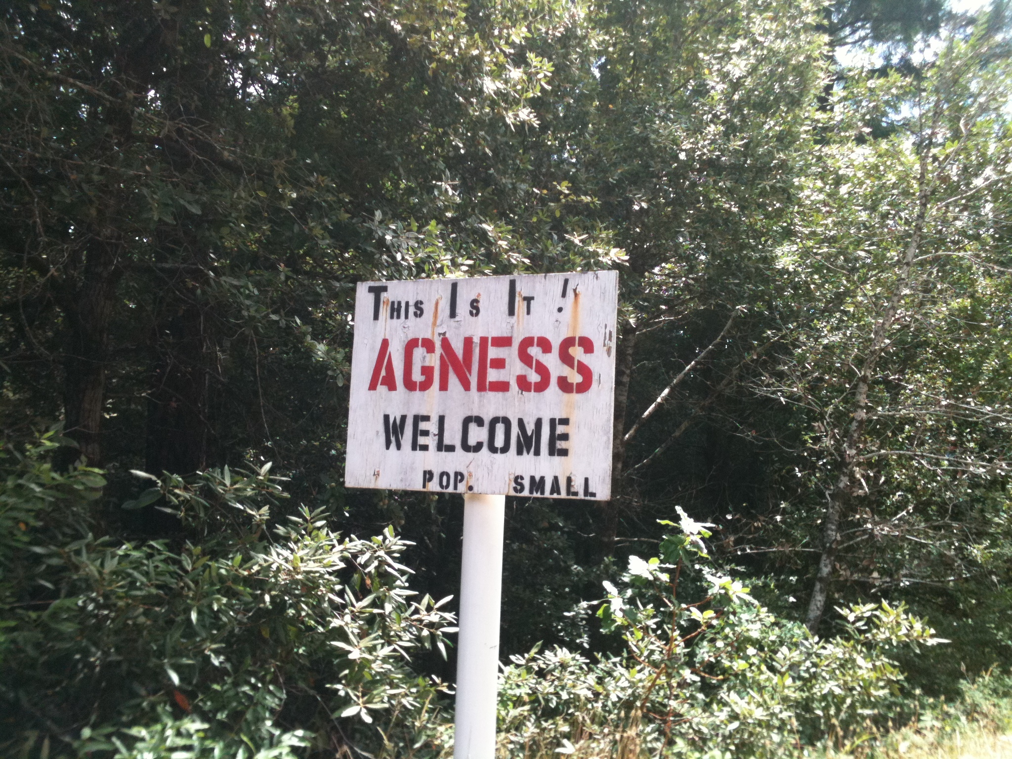 An Unexpected Adventure