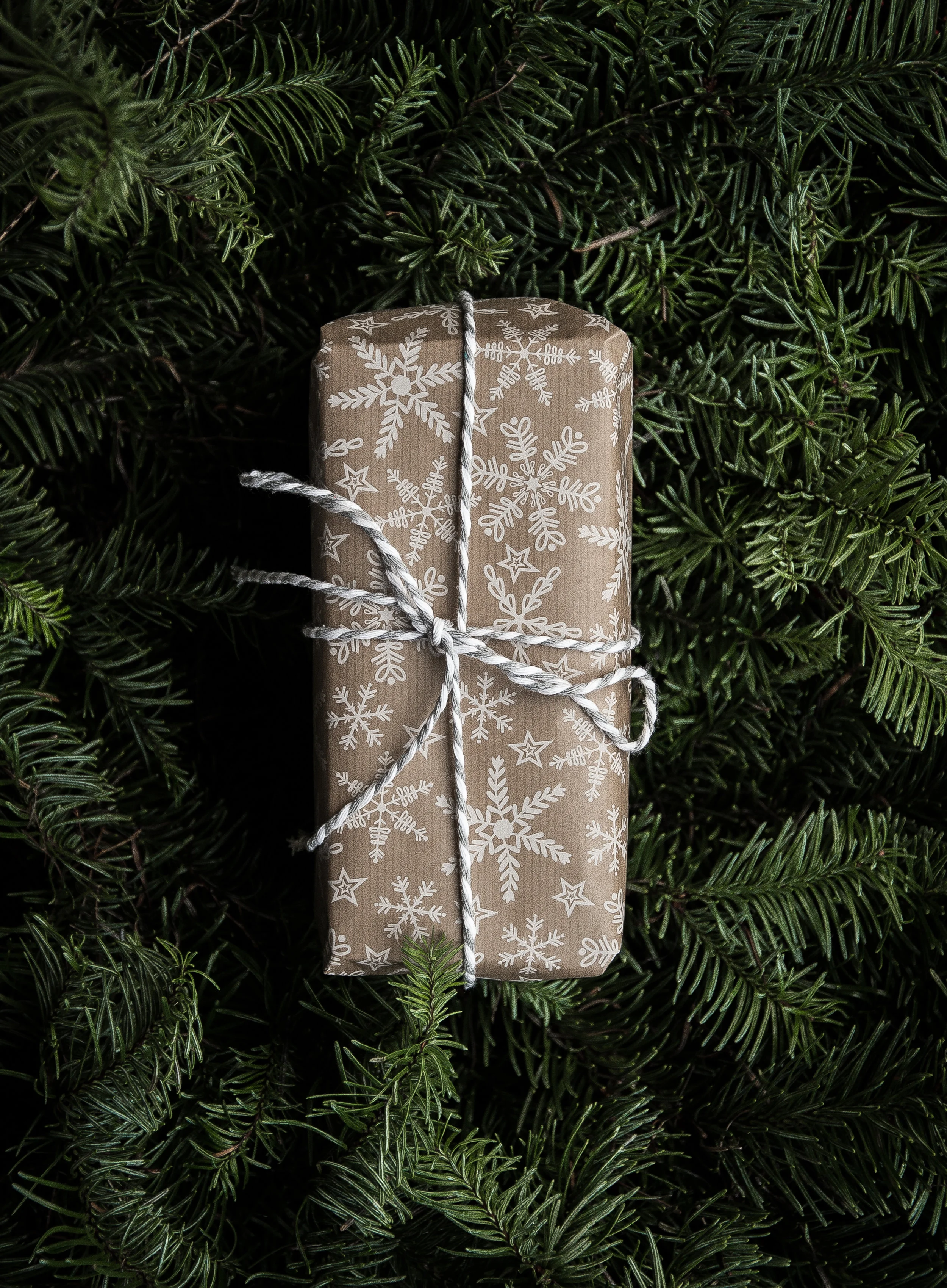 God’s Perfect Gift