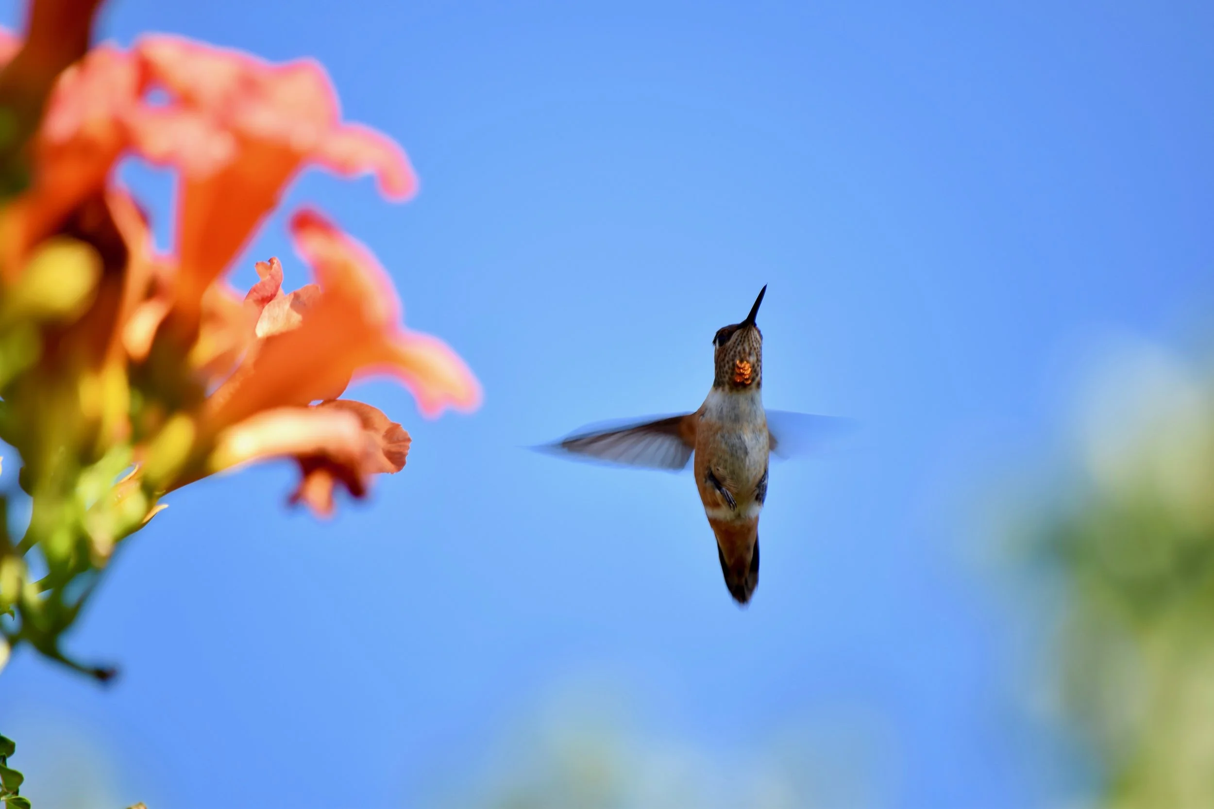 A Multiplication Lesson