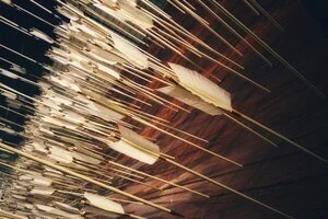 God’s Arrow
