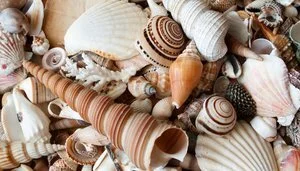 Broken and Beautiful