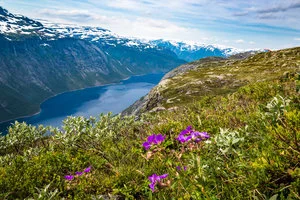 Beauty in Barren Places