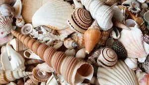 Broken and Beautiful